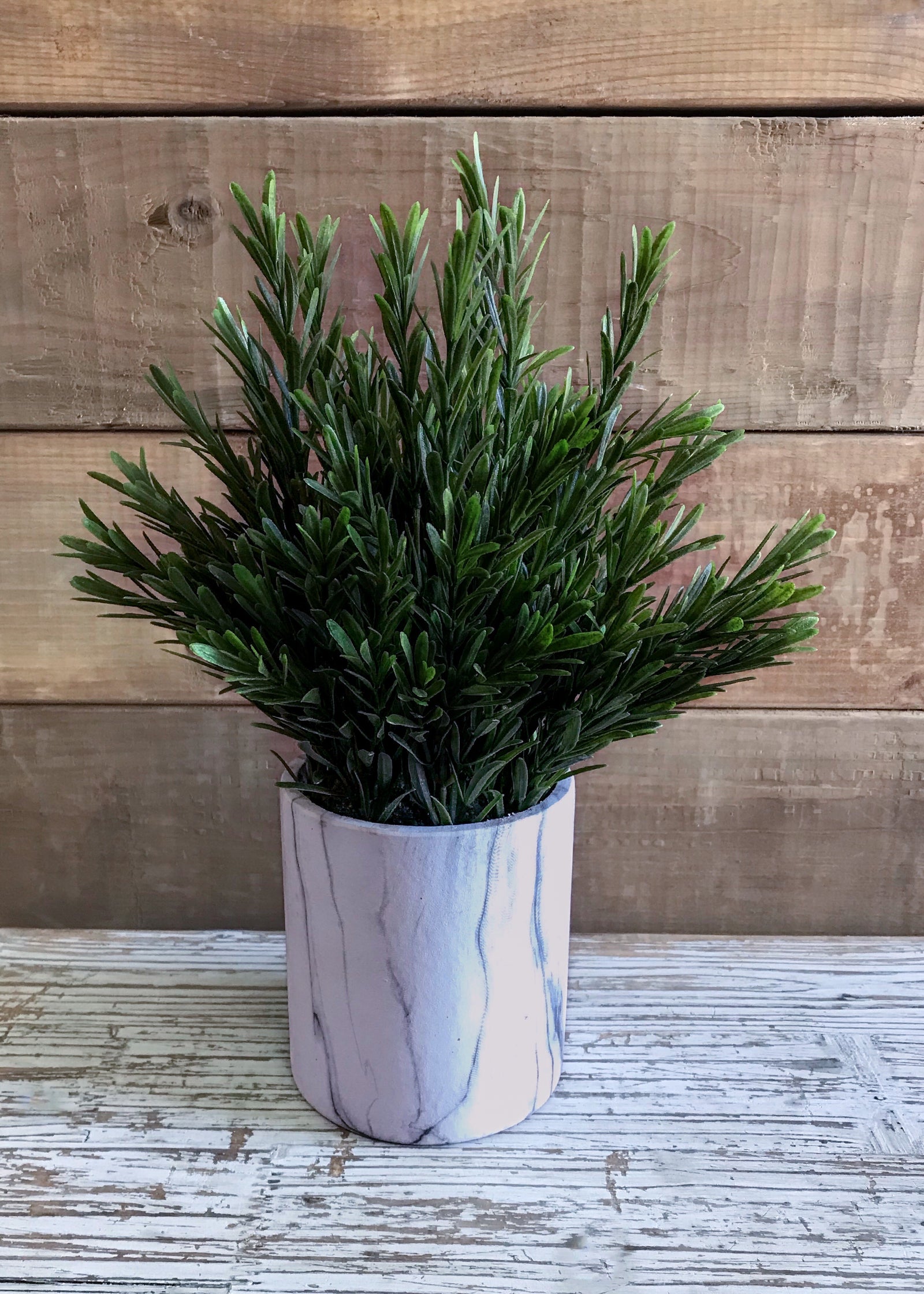 ITEM 11411 - 13" ROSEMARY BUSH IN POT