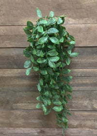 ITEM 11412 - 34" MINI PHILO BUSH