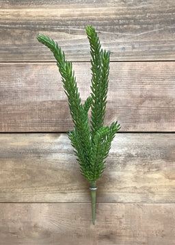 ITEM 11417 - 15" FRESH TOUCH SENECIO PICK