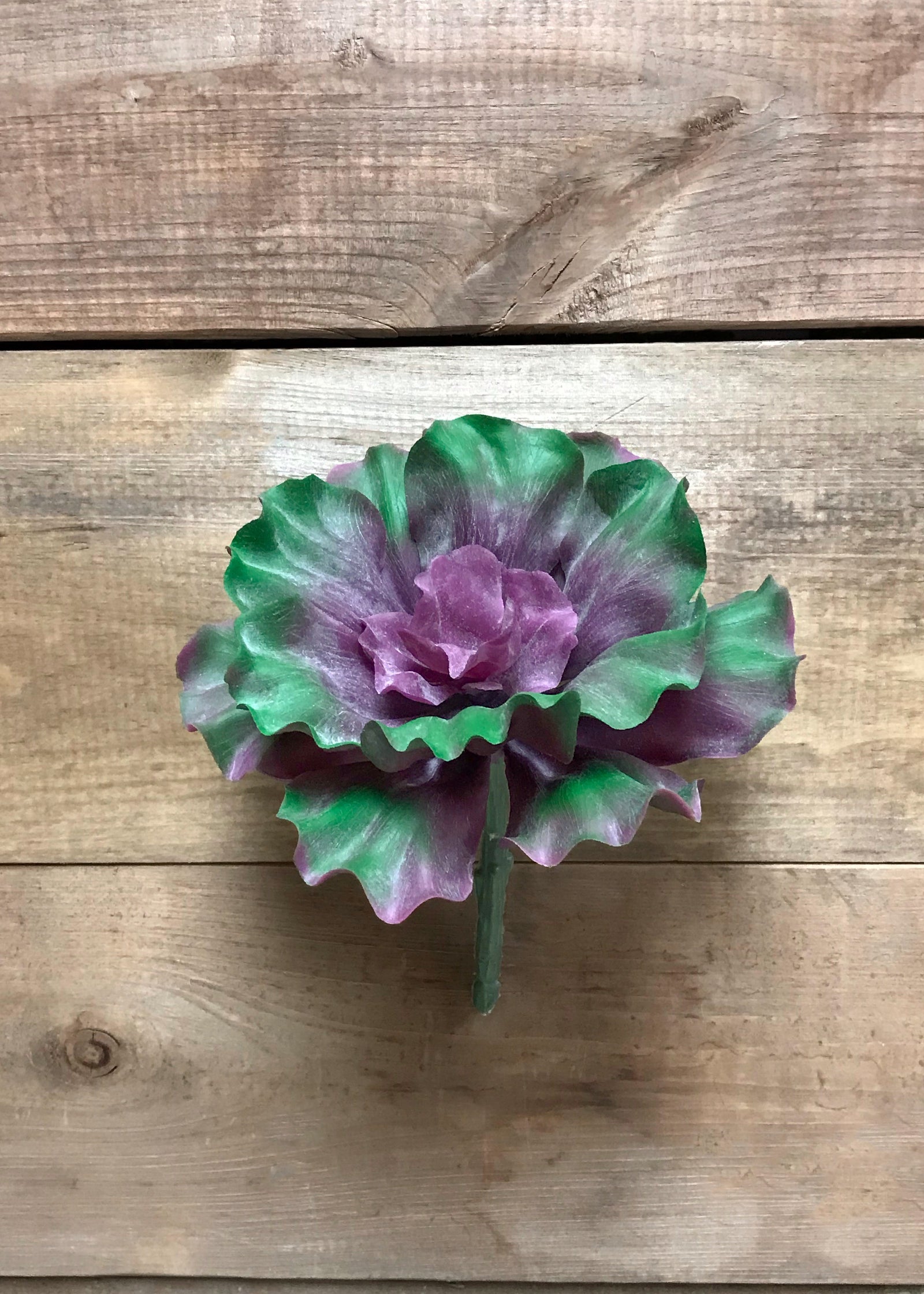 ITEM 11419 - 5.5X5.5X6IN PURPLE GREEN CURLY ECHEVERIA PICK