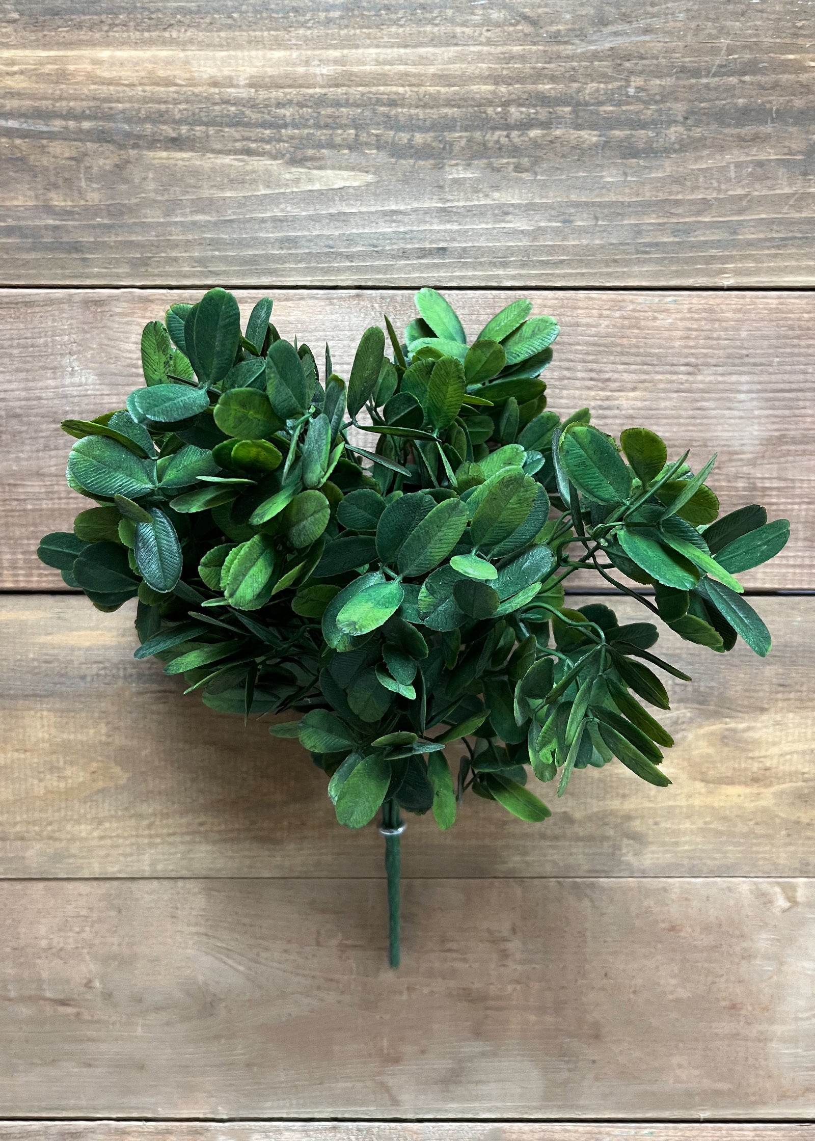 ITEM 11426 - 14" GREEN SEDUM BUSH