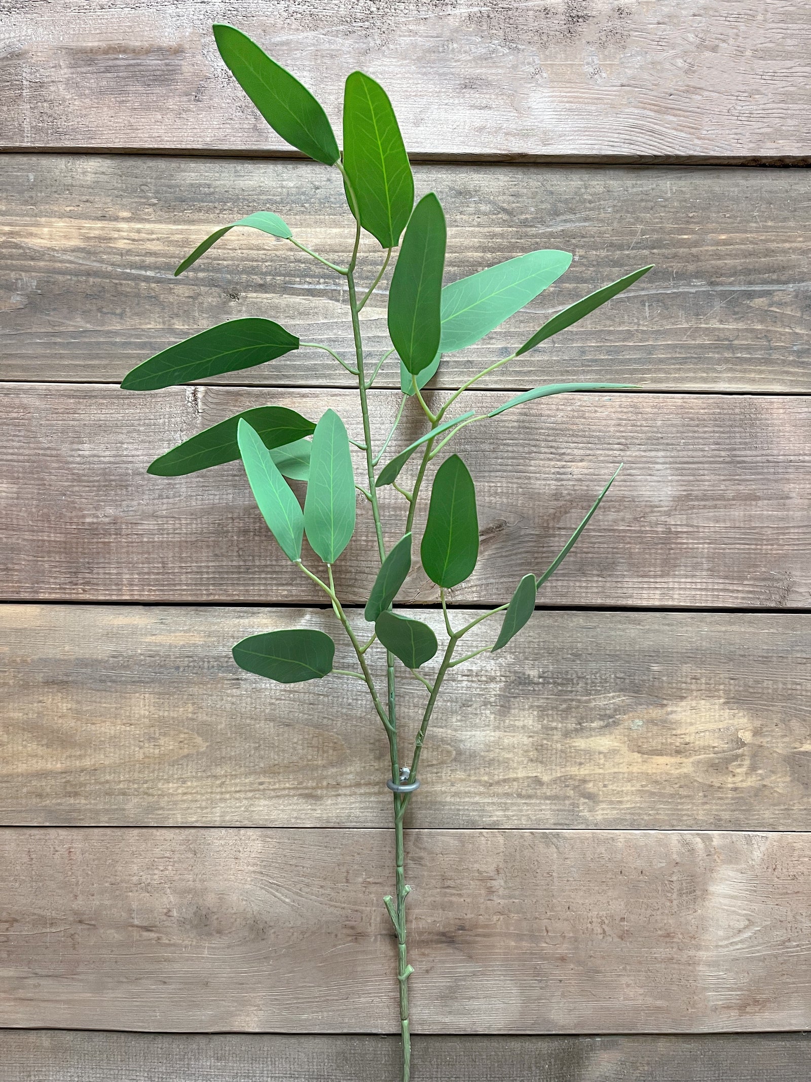 ITEM 11427 - 30" GREEN FRESH TOUCH FEATHER EUCALYPTUS SPRAY
