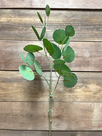 ITEM 11428 - 30" GREEN FRESH TOUCH SILVER DOLLAR EUCALYPTUS SPRAY