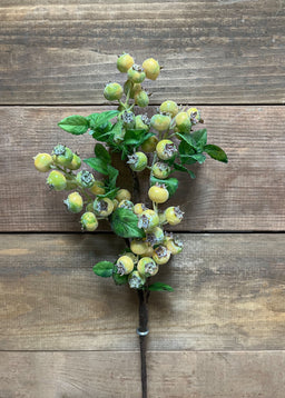 ITEM 11436 - 20" GREEN CRANBERRY SPRAY