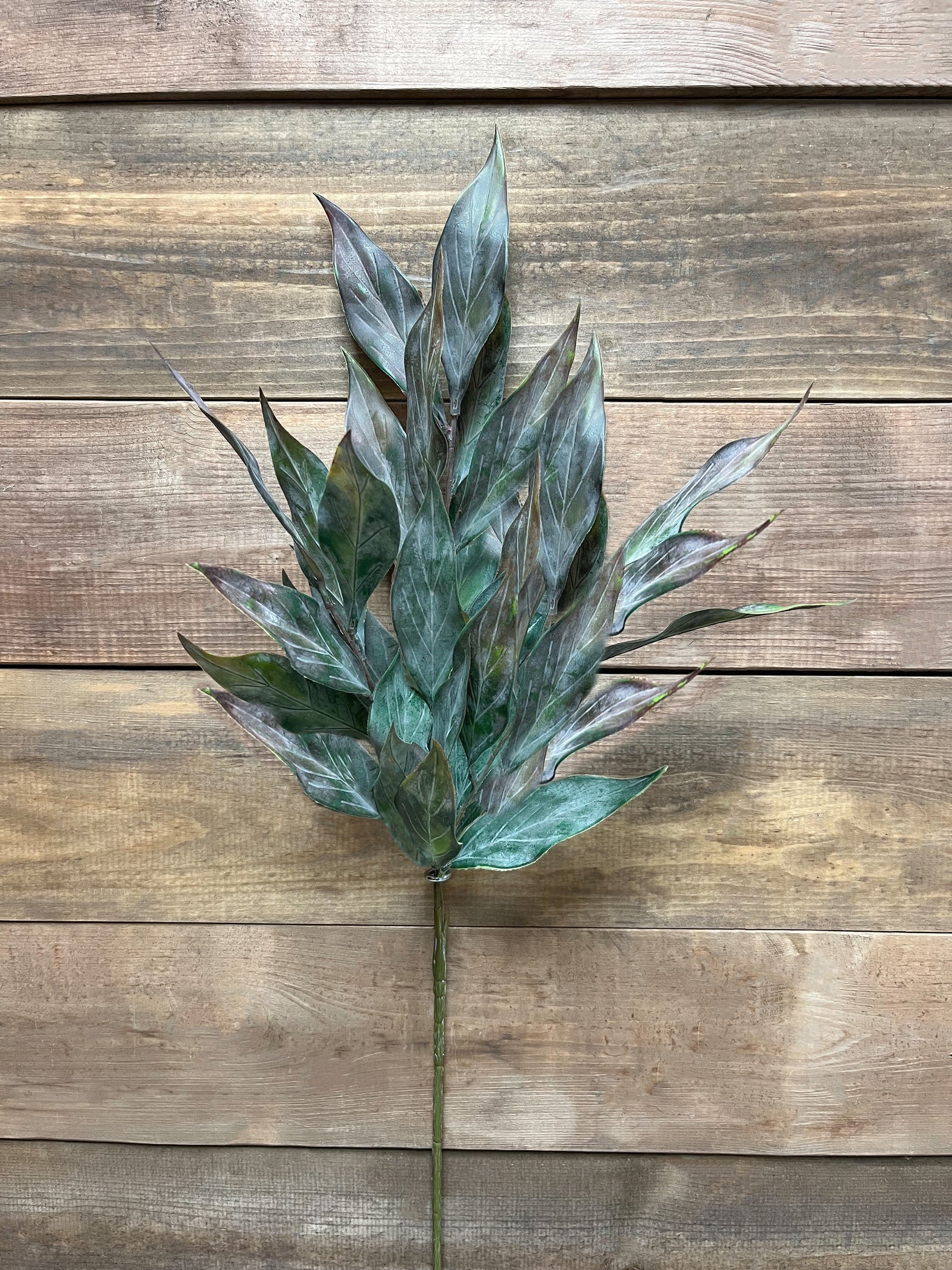 ITEM 11439 - 28" FROSTED BURGUNDY GREEN LANCEOLATE LEAF SPRAY
