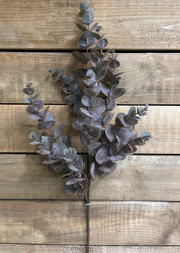 ITEM 11441 - 34" MATT BROWN EUCALYPTUS SPRAY