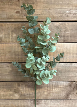ITEM 11442 - 34" SAGE GREEN EUCALYPTUS SPRAY