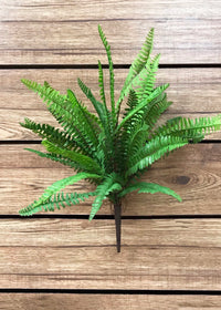 ITEM 12230 - 19" BOSTON FERN BUSH
