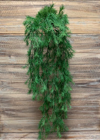 ITEM 12233 - 30" SPRINGERRI HANGING BUSH