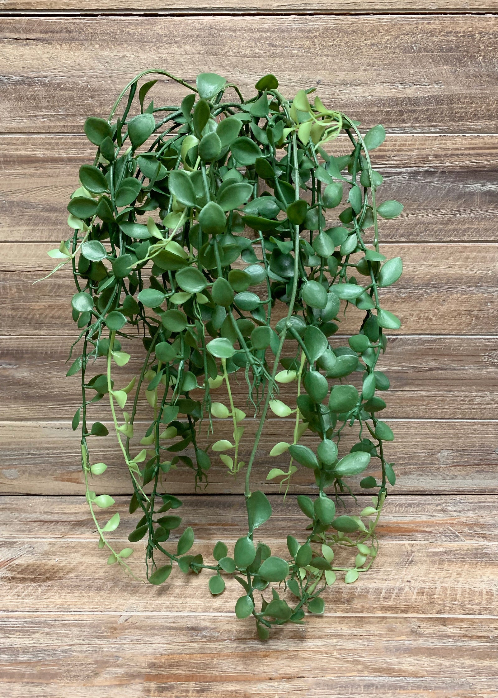 ITEM 12238 - 30" BUTTON LEAF HANGING BUSH