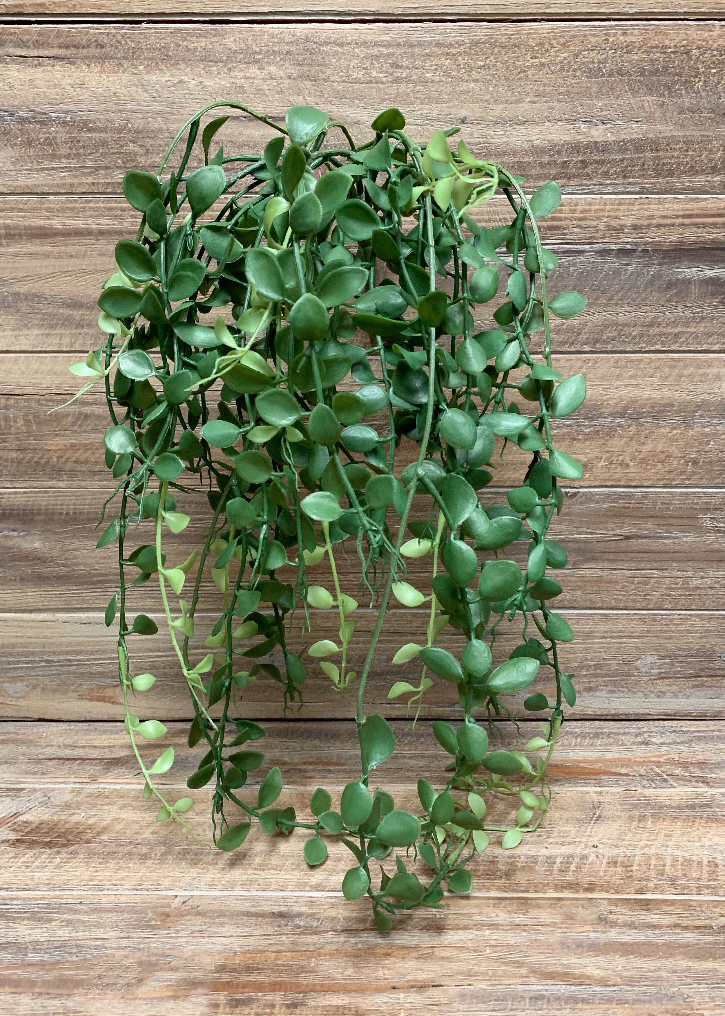 ITEM 12238 - 30" BUTTON LEAF HANGING BUSH