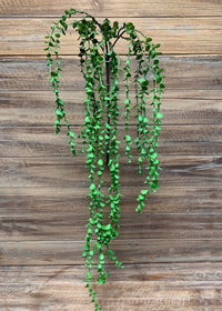 ITEM 12241 - 41" EUCALYPTUS HANGING VINE STEM