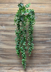 ITEM 12245 - 31" EUCALYPTUS VINE