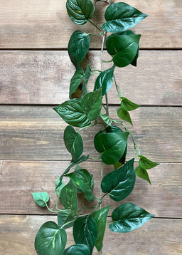 ITEM 12263 - 82.5" GREEN POTHOS GARLAND