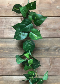 ITEM 12267 - 6' POTHOS GARLAND