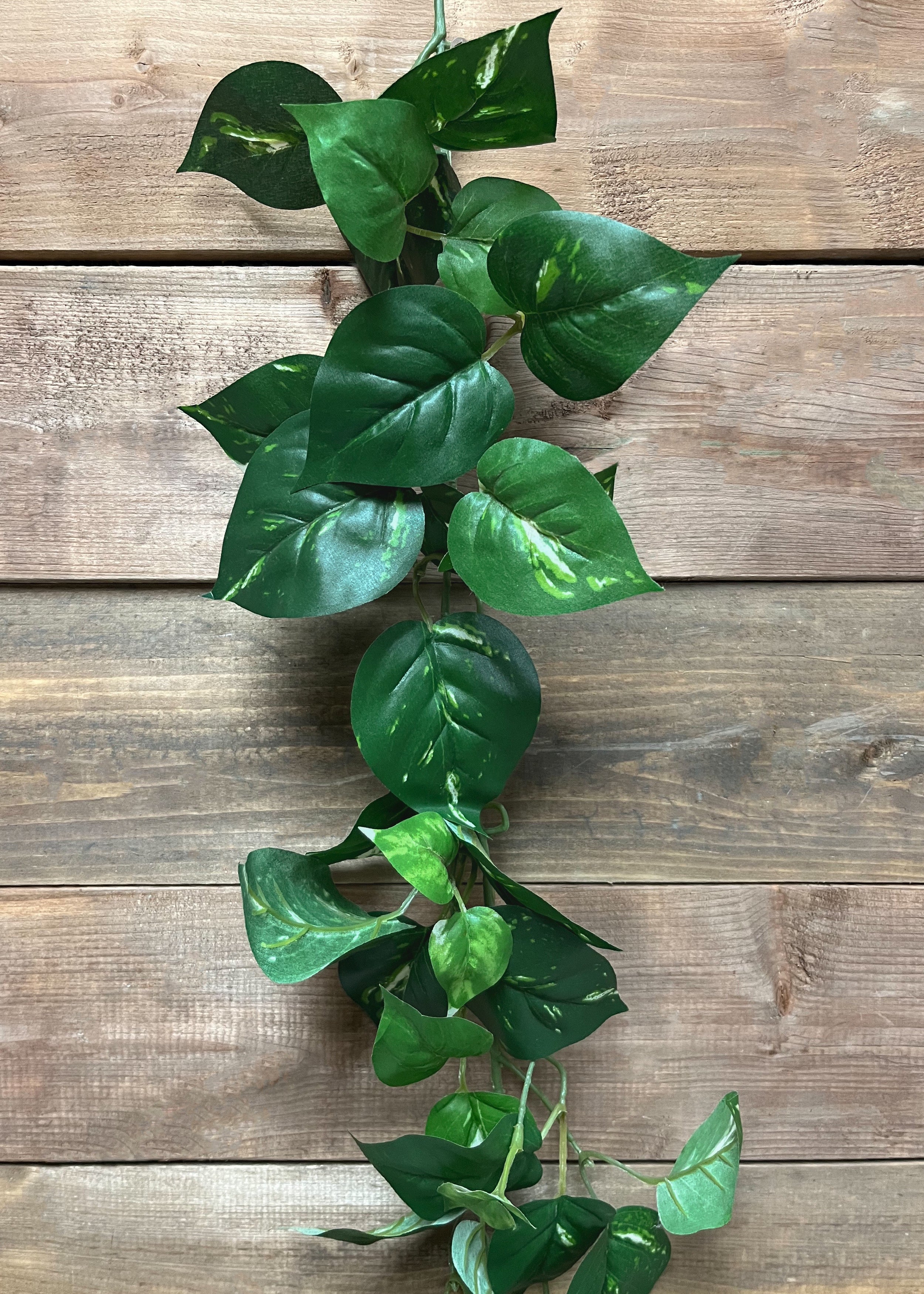 ITEM 12267 - 6' POTHOS GARLAND