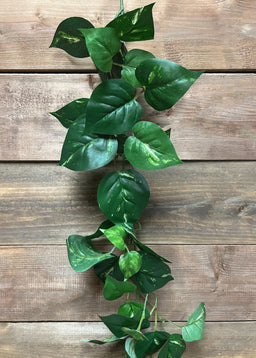 ITEM 12267 - 6' POTHOS GARLAND