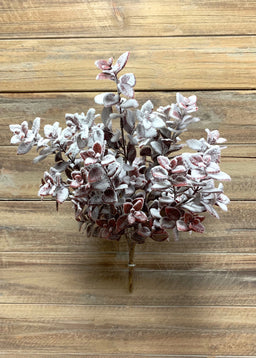 ITEM 81598 BUR - 16" SNOWY BURGUNDY AGLAIA BUSH