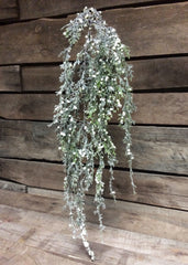 ITEM 80994 CM -  45" FROSTED CEDAR AND CREAM BERRIES HANGING SPRAY