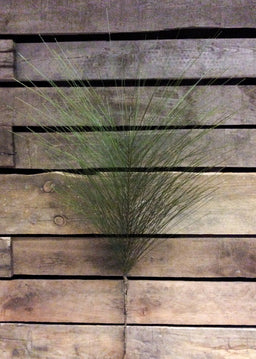 ITEM 81020 -  32" PINE PICK