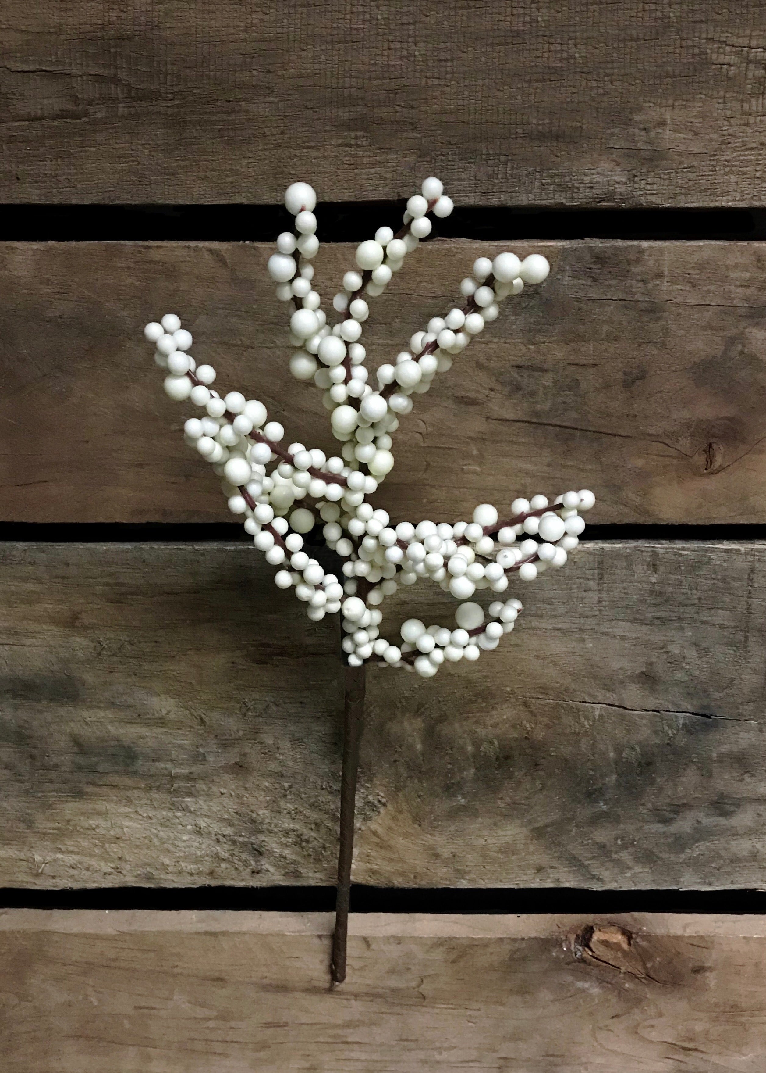 ITEM 81221 CM -  12" CREAM OUTDOOR BERRY PICK