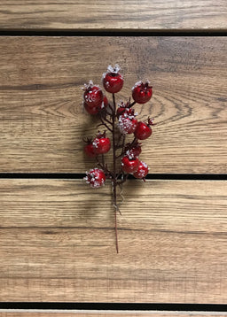 ITEM 81235 ICED - 8" OUTDOOR RED ICED CRANBERRY PICK - 12 PIECES PER BAG