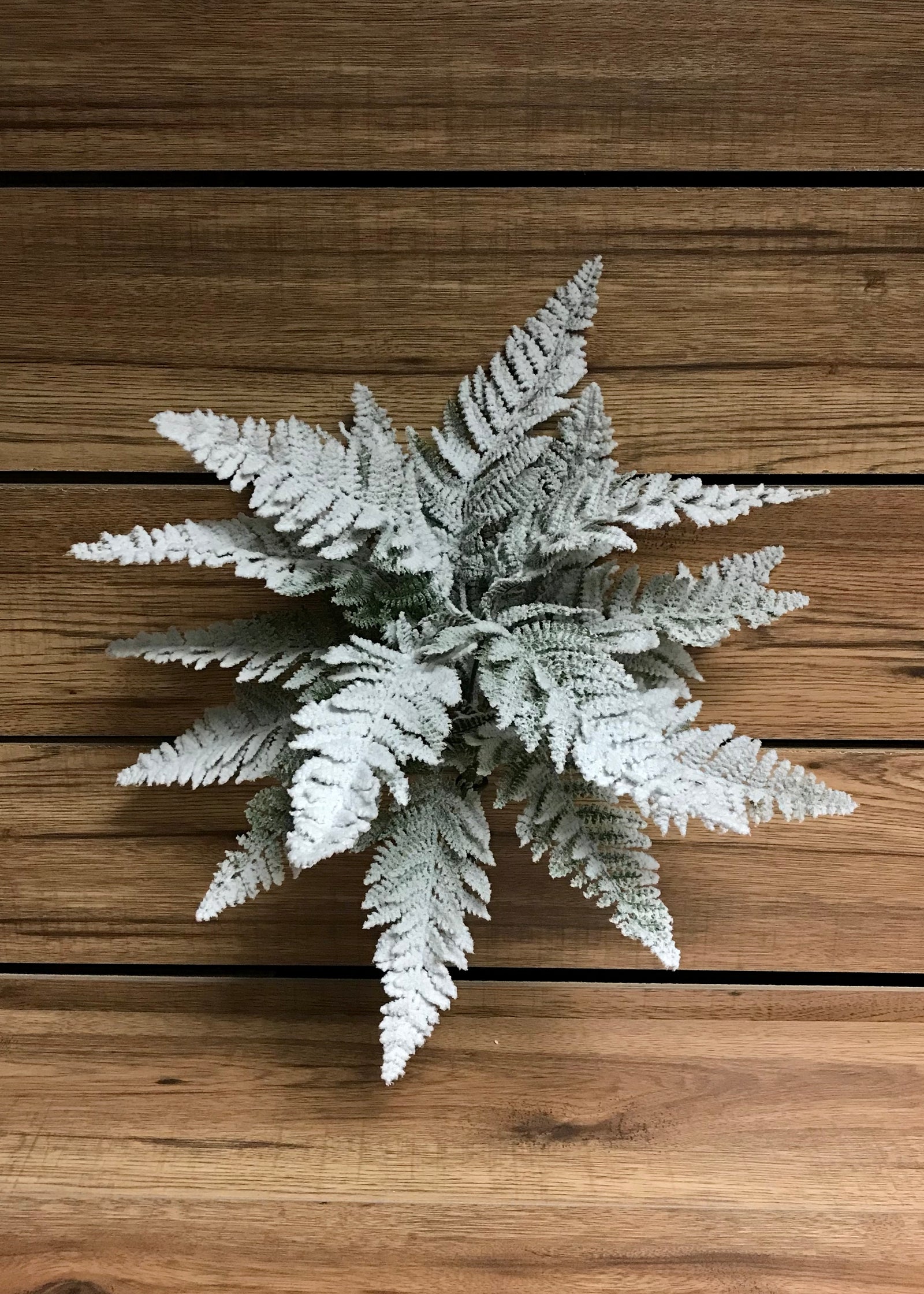 ITEM 81347 - 16" SNOWY LACE FERN BUSH