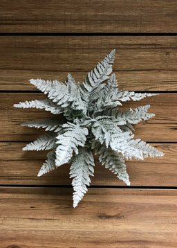 ITEM 81347 - 16" SNOWY LACE FERN BUSH