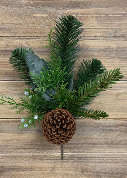 ITEM 81407 - 12.5" AUSTRALIAN PINE SPRAY WITH PINE CONE