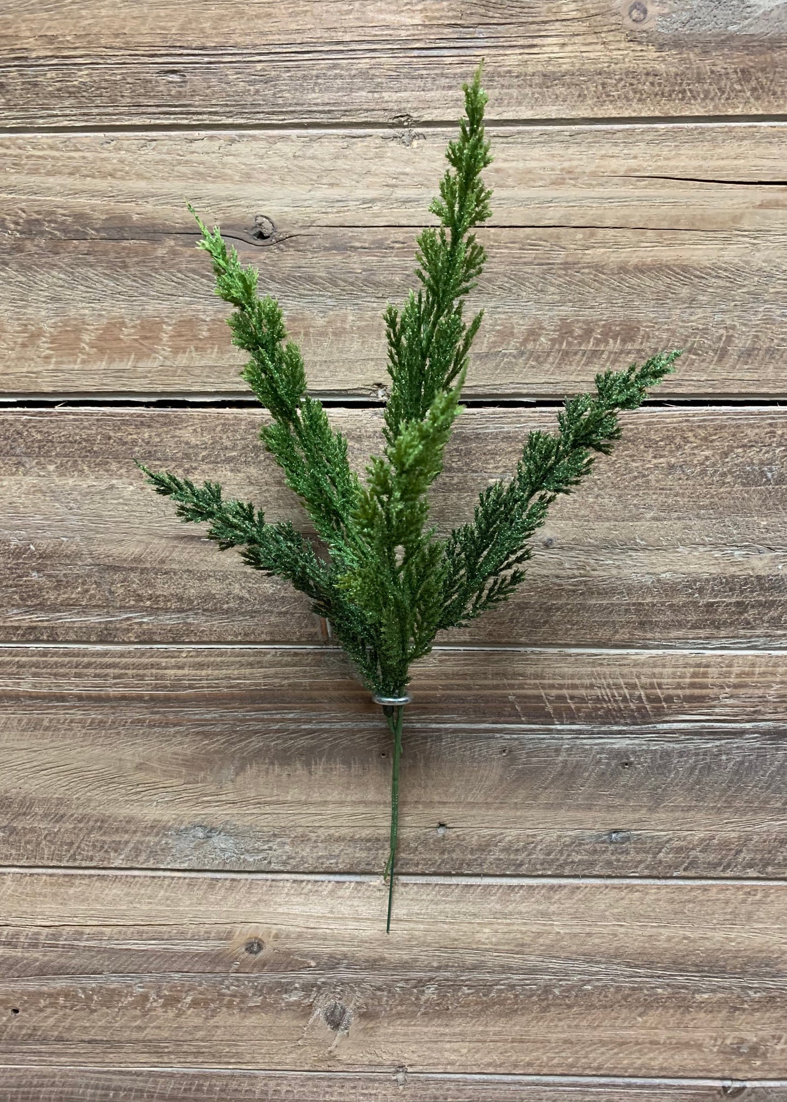 ITEM 81574 - 13" MONTEREY CYPRESS SPRAY X 12