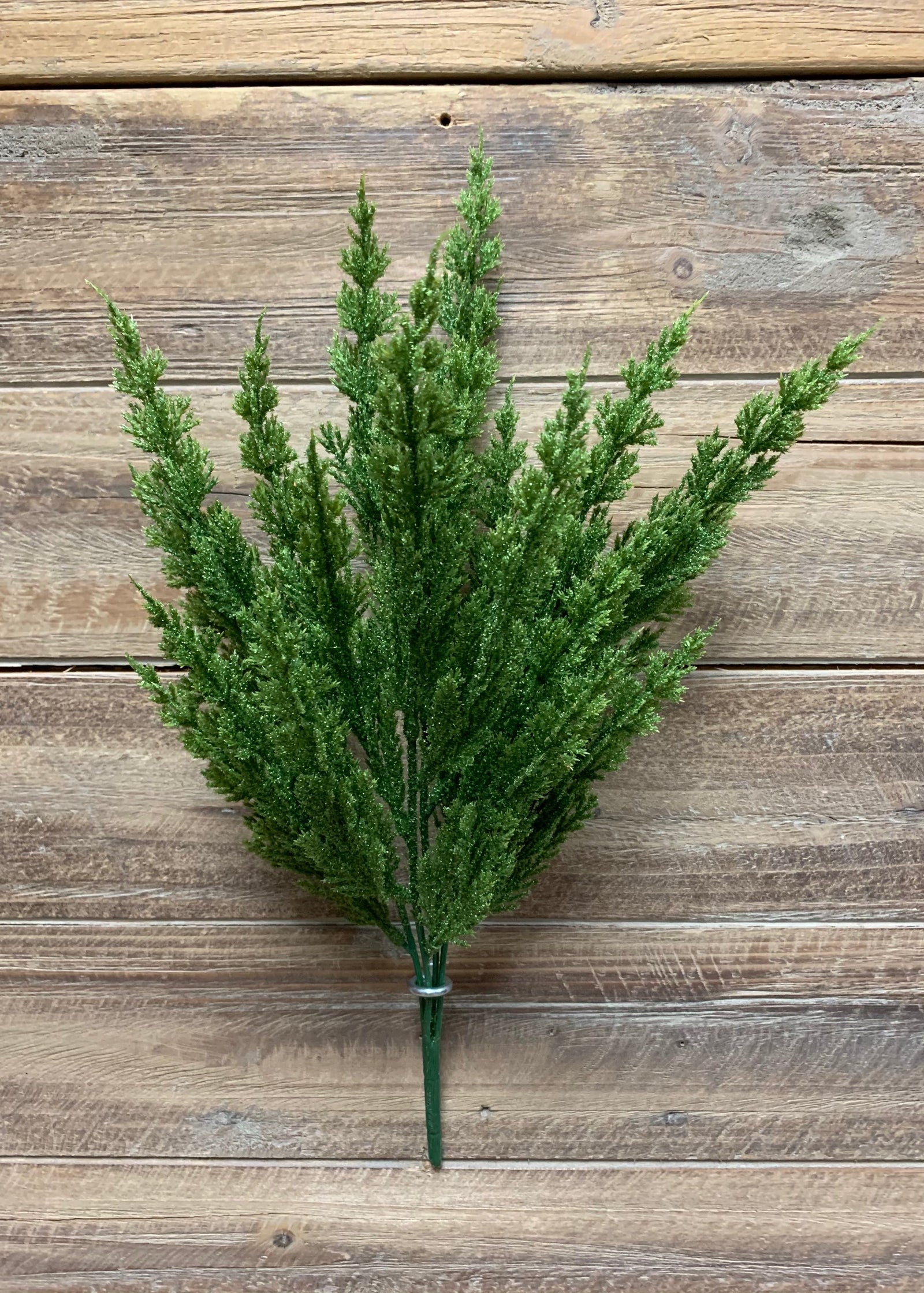 ITEM 81575 - 14.5" MONTEREY CYPRESS BUSH X 4