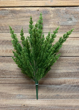 ITEM 81575 - 14.5" MONTEREY CYPRESS BUSH X 4