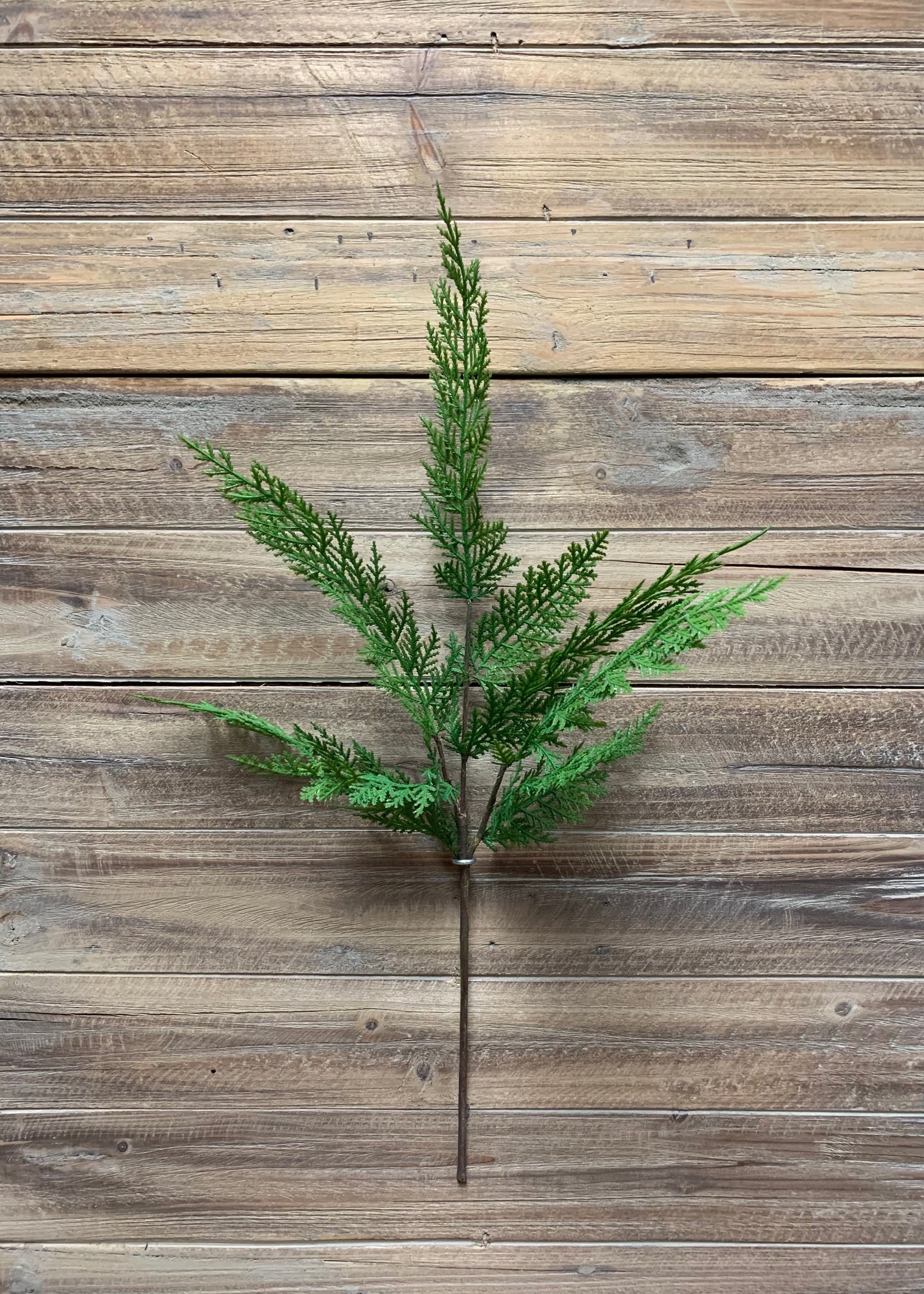 ITEM 81581 - 24" FRESH TOUCH SEQUOIA CYPRESS SPRAY
