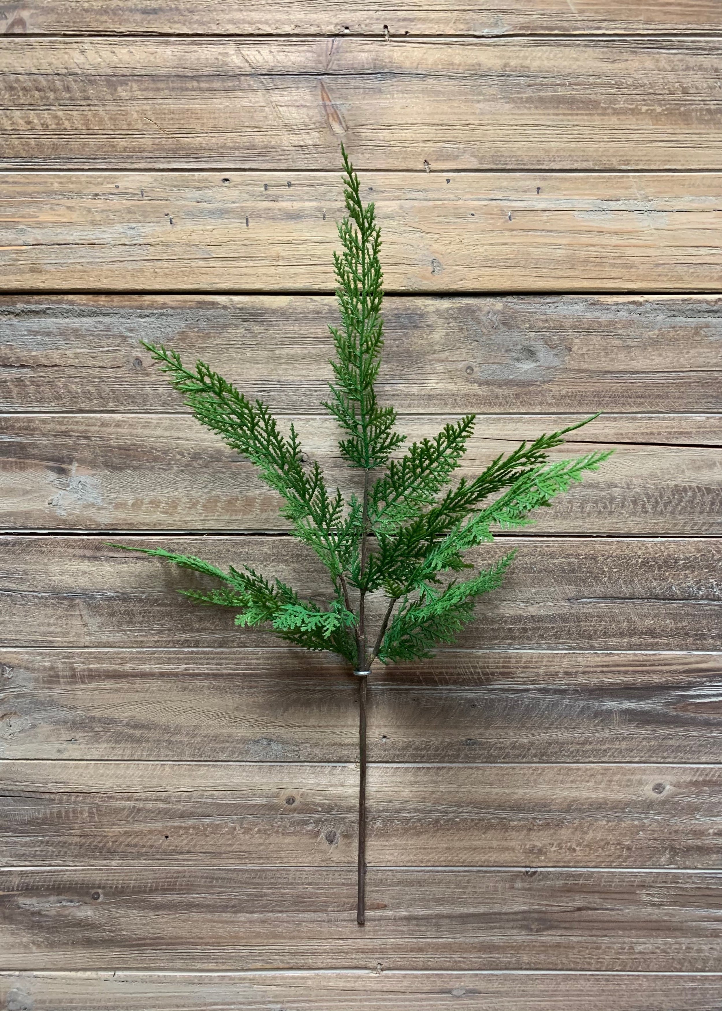 ITEM 81581 - 24" FRESH TOUCH SEQUOIA CYPRESS SPRAY