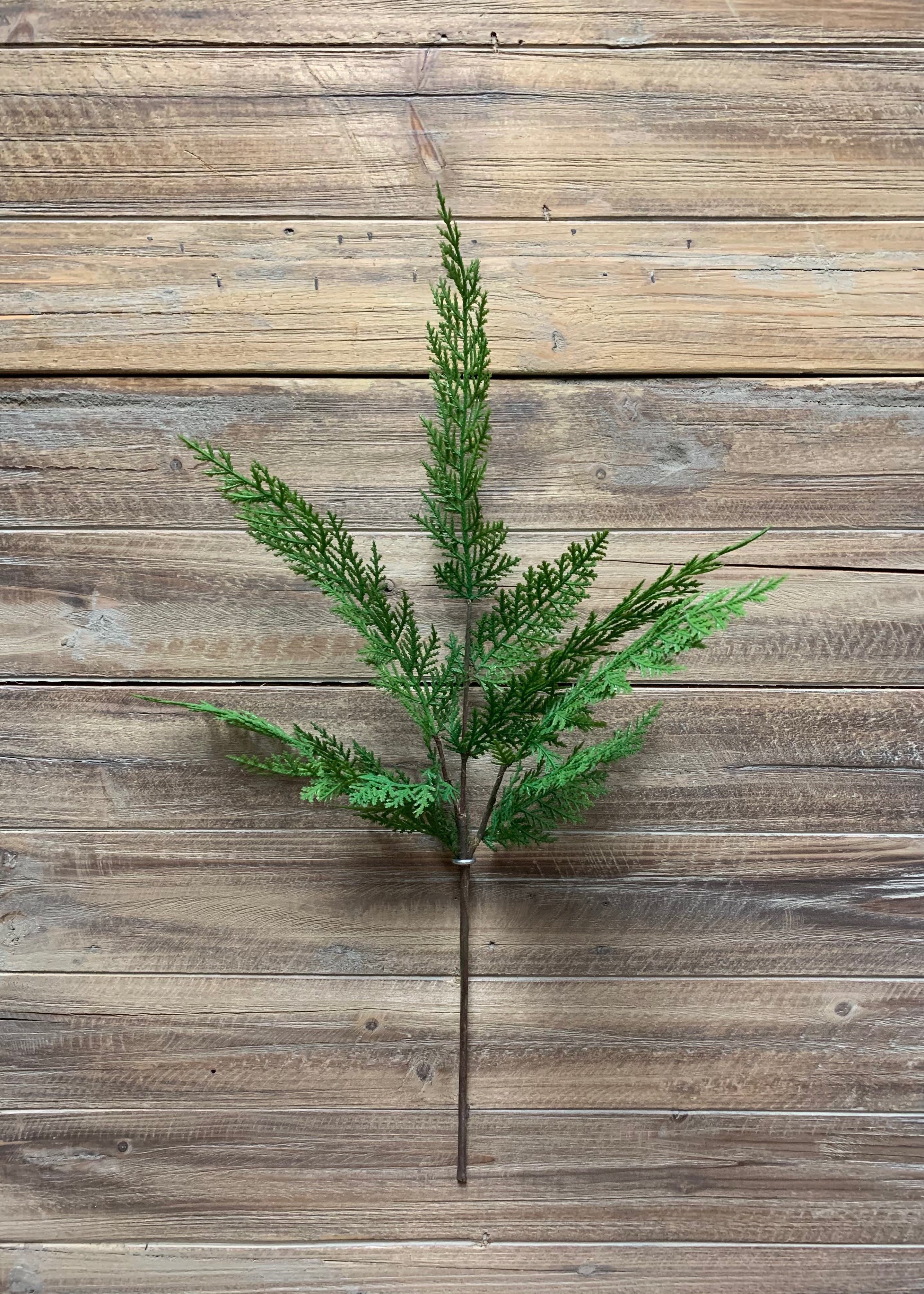 ITEM 81581 - 24" FRESH TOUCH SEQUOIA CYPRESS SPRAY