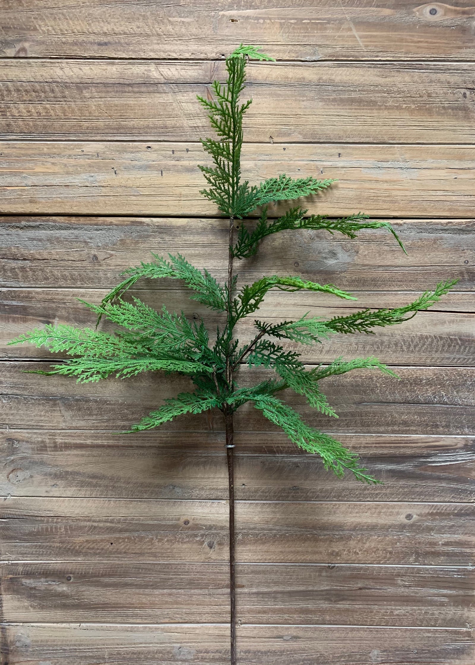 ITEM 81582 - 36" FRESH TOUCH SEQUOIA CYPRESS SPRAY