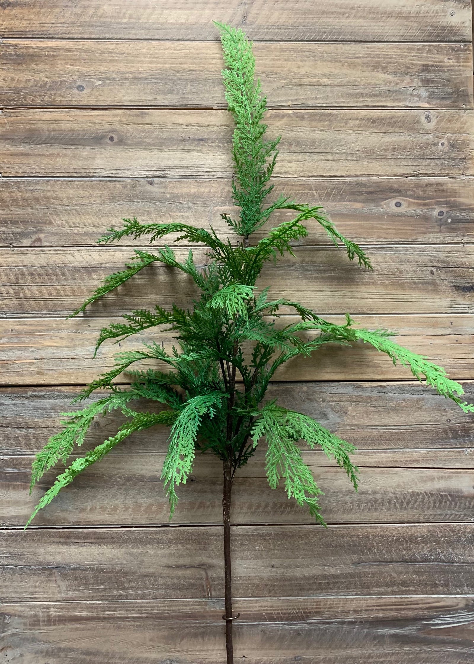 ITEM 81583 - 48" FRESH TOUCH SEQUOIA CYPRESS SPRAY