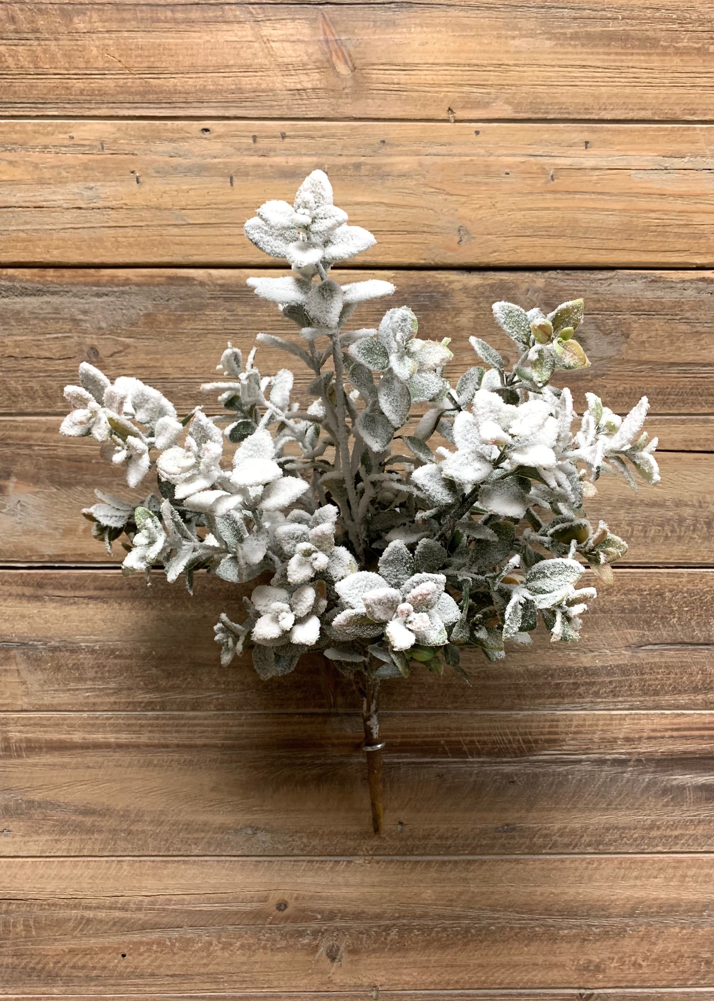 ITEM 81598 GR  - 16" SNOWY GREEN AGLAIA BUSH