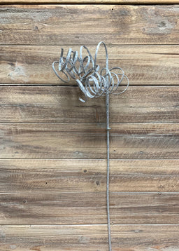 ITEM 81602 SILVER - 25.6" SILVER GLITTERD CURLY STEM