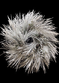 ITEM 81637 - 36" SNOWED SUGAR PINE WREATH WITH CONES