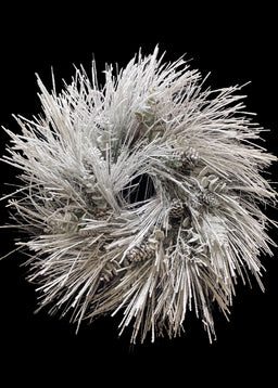 ITEM 81637 - 36" SNOWED SUGAR PINE WREATH WITH CONES