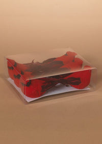 ITEM G2589240 - SET OF 6 - 4.5"L CARDINAL CLIP ORNAMENTS IN PVC BOX