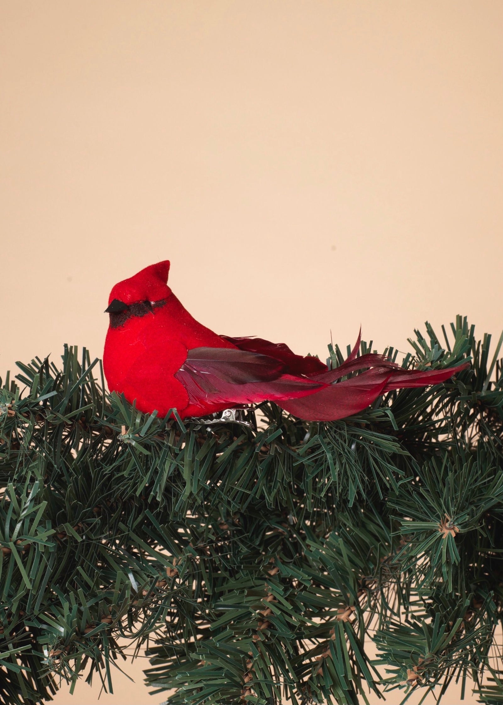 ITEM G2589240 - SET OF 6 - 4.5"L CARDINAL CLIP ORNAMENTS IN PVC BOX