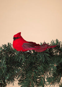 ITEM G2589240 - SET OF 6 - 4.5"L CARDINAL CLIP ORNAMENTS IN PVC BOX