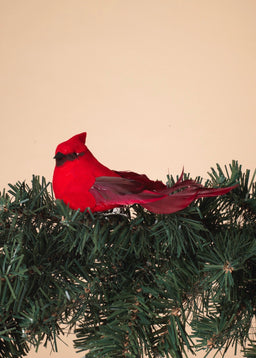 ITEM G2589240 - SET OF 6 - 4.5"L CARDINAL CLIP ORNAMENTS IN PVC BOX