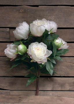 ITEM 10135 W - 22.5" WHITE PEONY BUSH WITH 9 HEADS