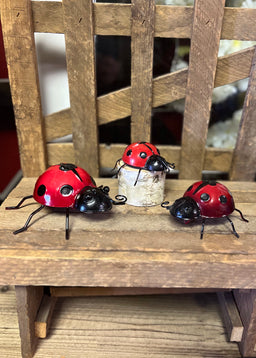 ITEM KOP 15362 - LADY BUGS - SET OF 3