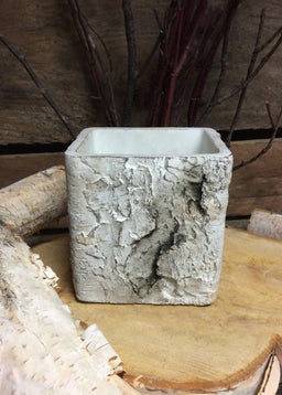ITEM MX031335 - 5"SQ CEMENT BIRCH PLANTER
