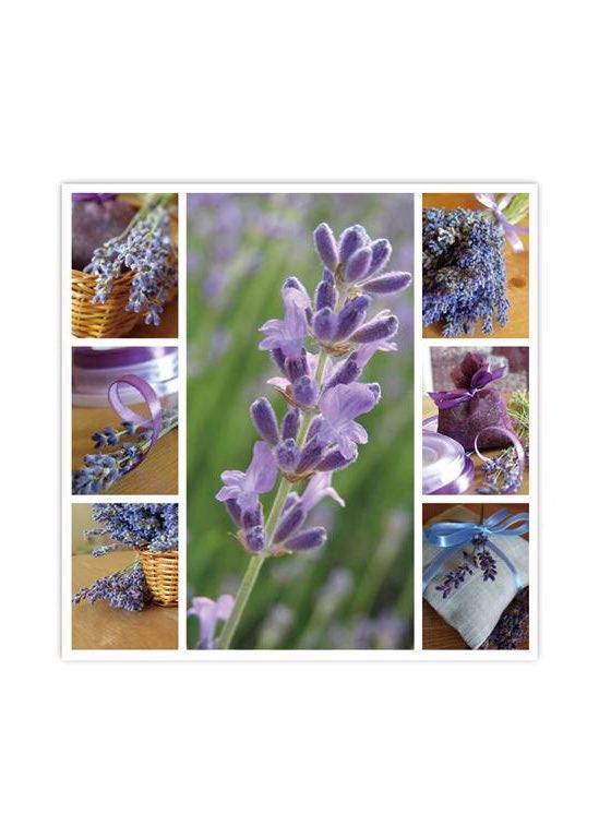 ITEM SS2001 LD - 13in 20 PACK LUNCHEON 3 PLY NAPKIN (LAVENDER)