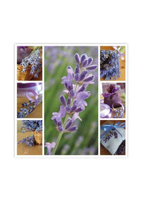 ITEM SS2001 LD - 13in 20 PACK LUNCHEON 3 PLY NAPKIN (LAVENDER)